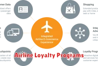 Airline Loyalty Programs