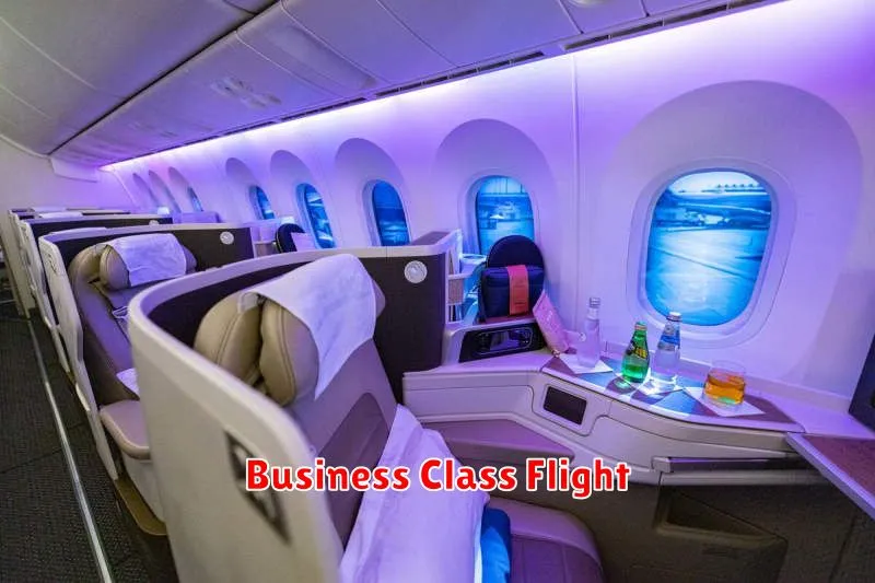 Business Class Flight