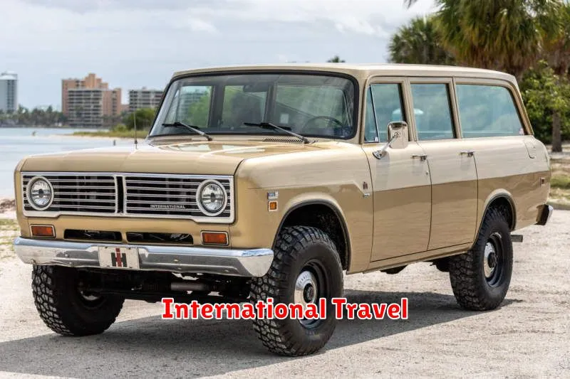 International Travel