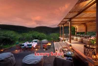 Luxury Safari